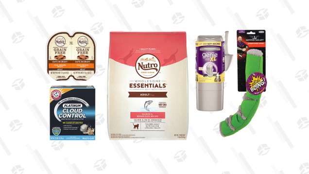 Feline Essentials Gold Box | Amazon